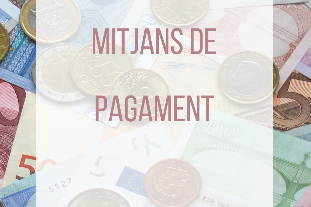 Mitjans de Pagament