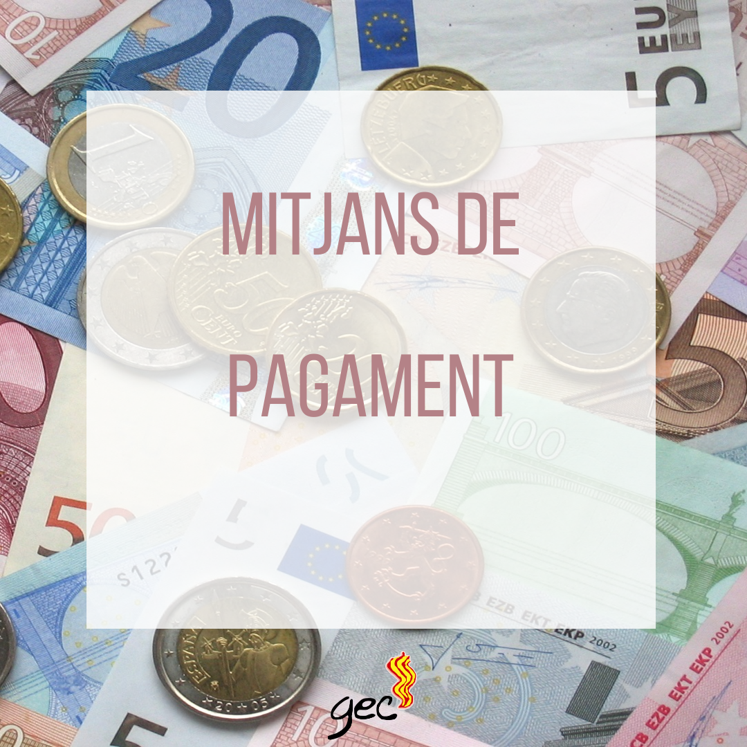 Mitjans de Pagament Mitjans de Pagament