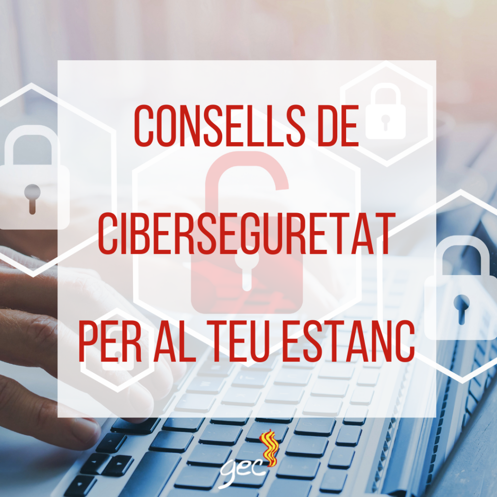 Consells Ciberseguretat Estanc