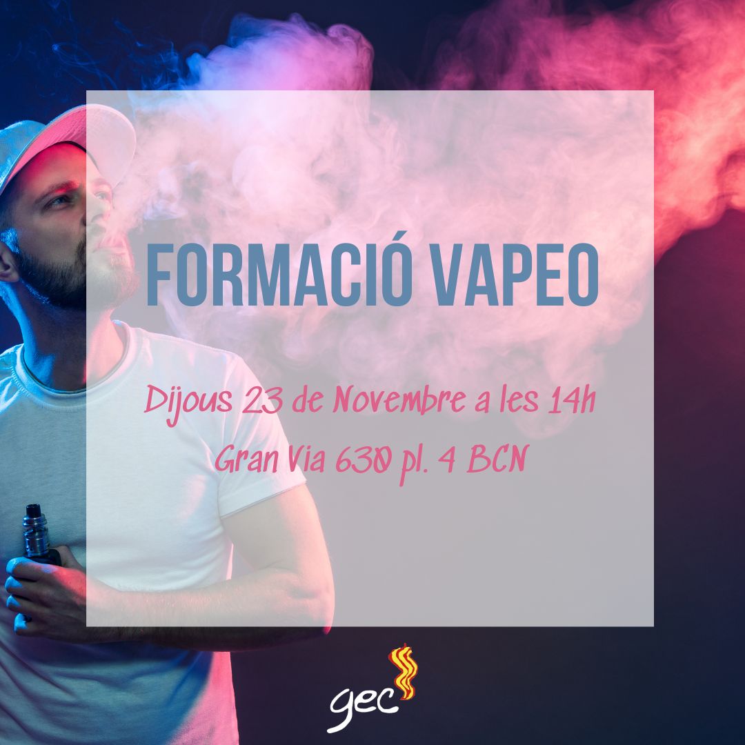 GEC – Formació Vapeo (2)