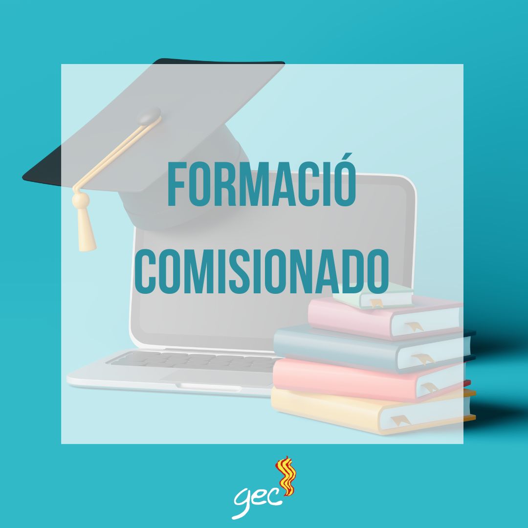 GEC – formació cmt
